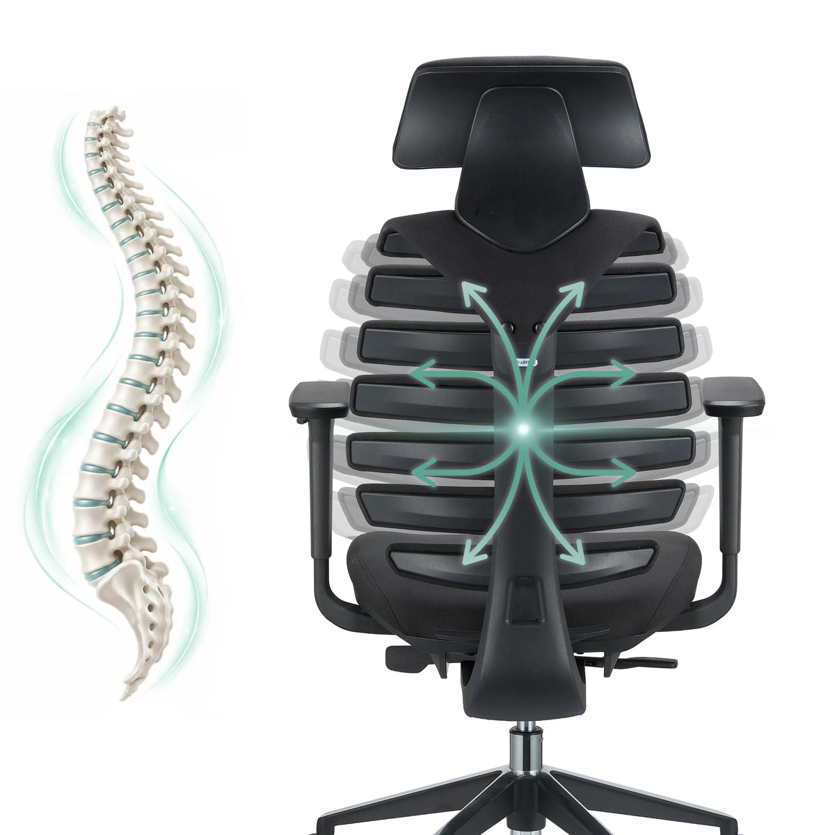 Backrest of the ERGO LINE II PRO Professional Office Chair showing a spine and arrow graphics by hjh OFFICE