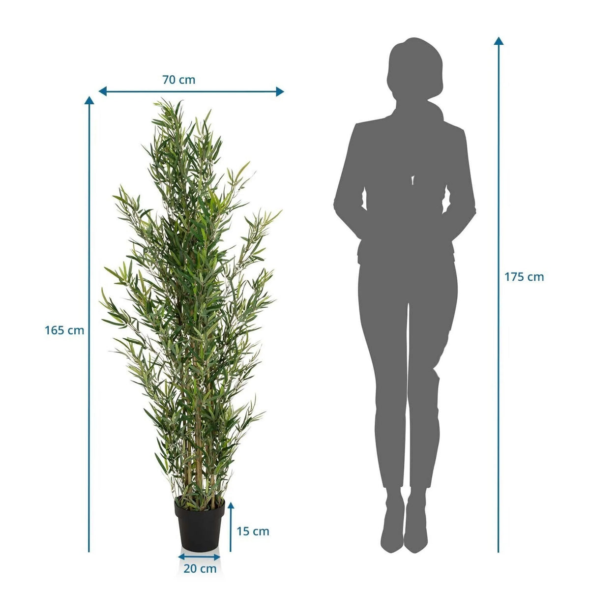 Dimensional drawing of the Artificial plant BAMBUS with a height of 165 cm and a width of 70 cm by hjh OFFICE