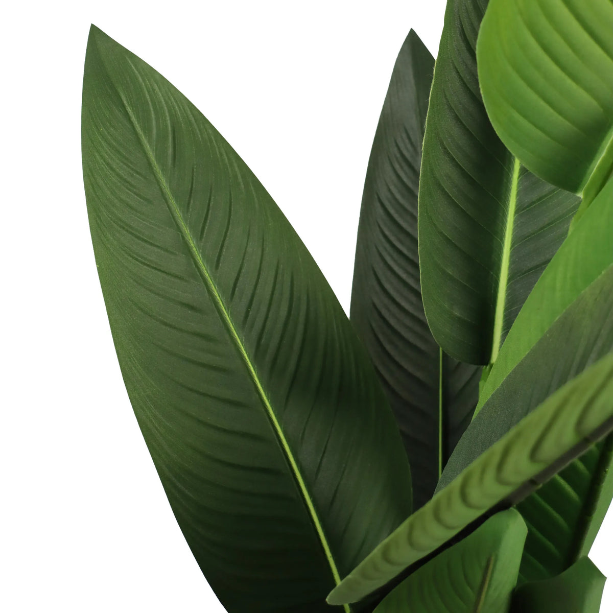 Green leaves of the Artificial plant STRELITZIA by hjh OFFICE