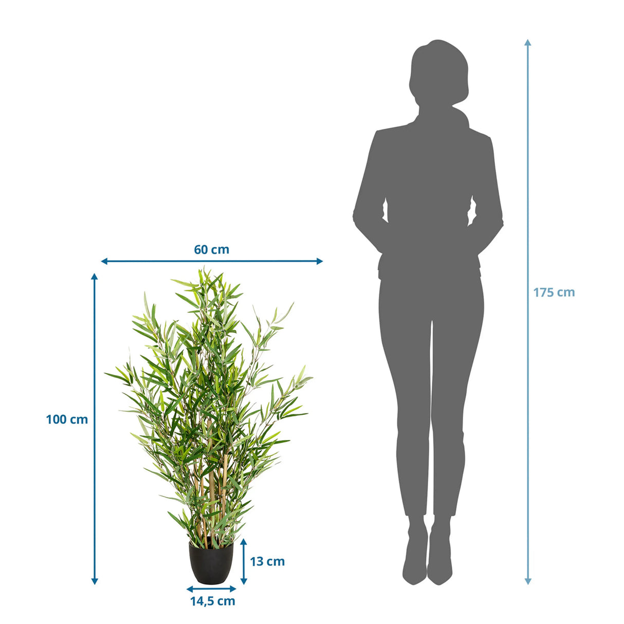 Dimensional drawing of the Artificial plant MINI BAMBUS with a height of 100 cm and width of 60 cm by hjh OFFICE