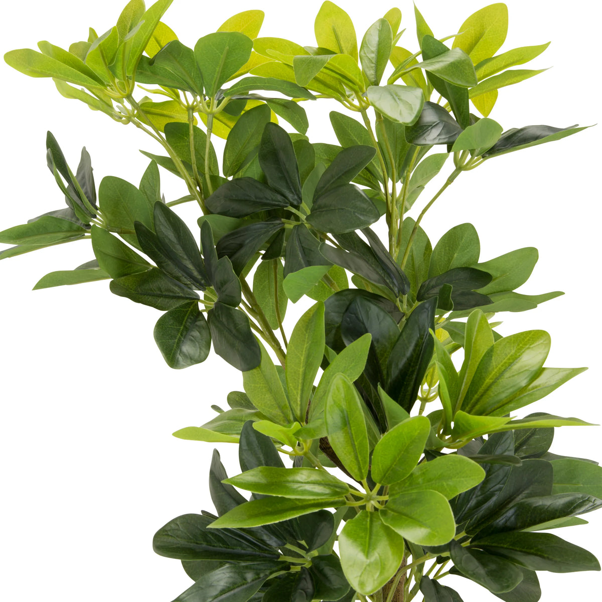 Green leaves of the artificial plant SCHEFFLERA by hjh OFFICE