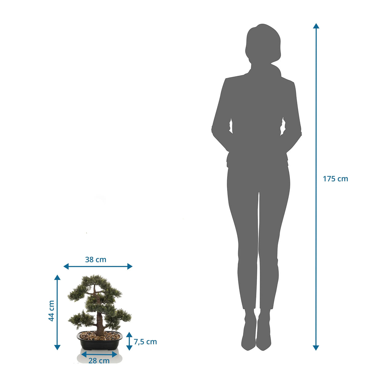 Dimensional view of the Artificial plant BONSAI with a height of 44 cm compared to a person by hjh OFFICE