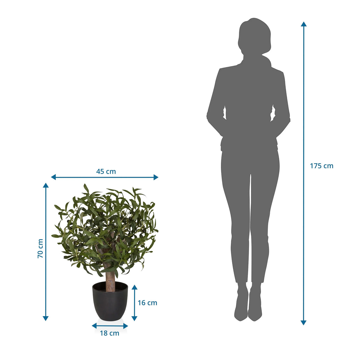 Dimensional view of the Artificial plant Olive S with a height of 70 cm and width of 45 cm by hjh OFFICE