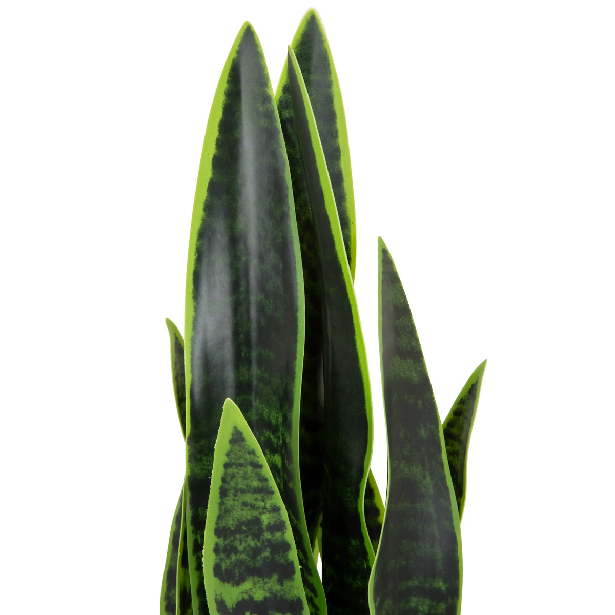 Green leaves of the artificial plant SANSEVIERIA with dark green patterns by hjh OFFICE