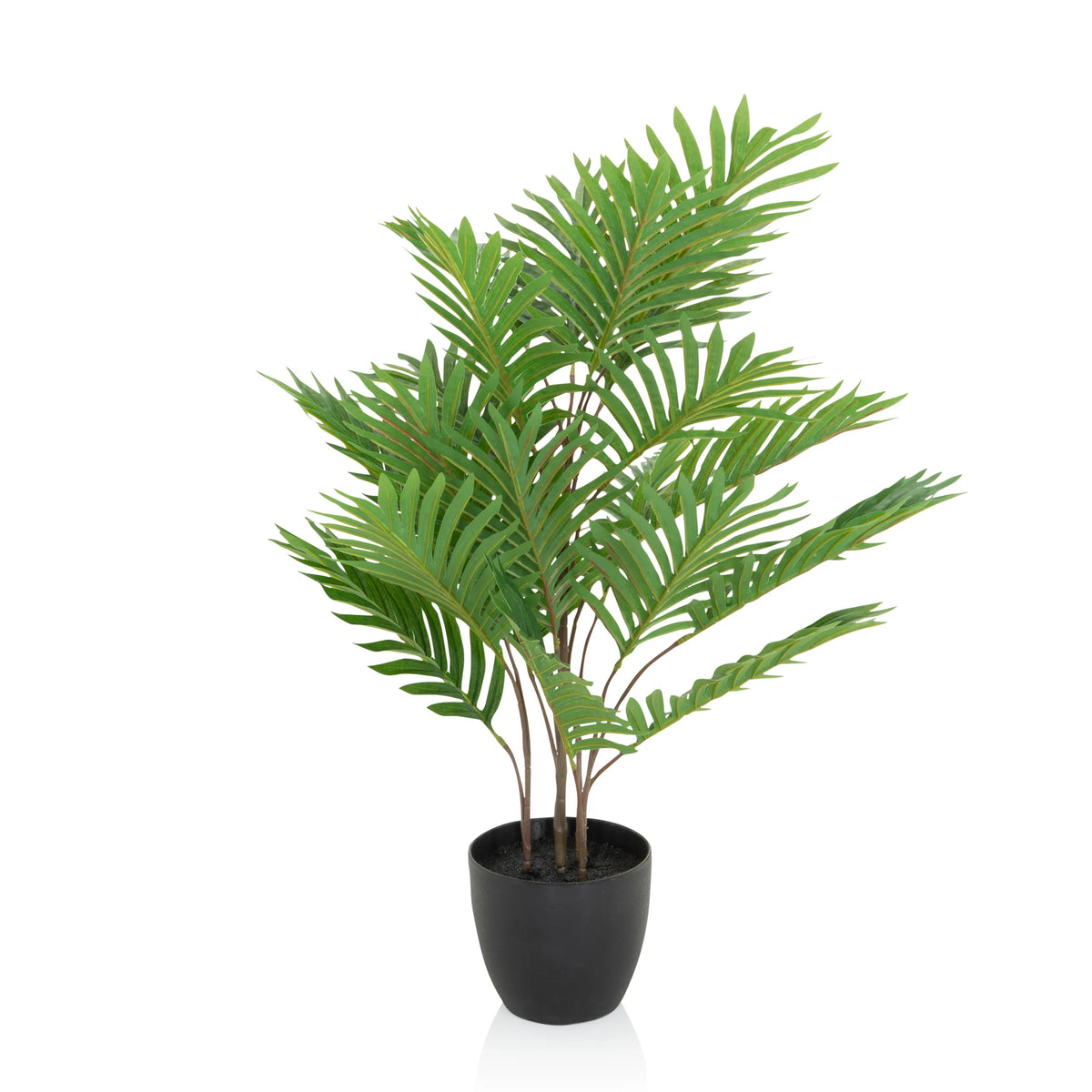 Green Artificial plant ARECA with pinnate leaves in a black pot by hjh OFFICE – 360-degree view (front view 0°)