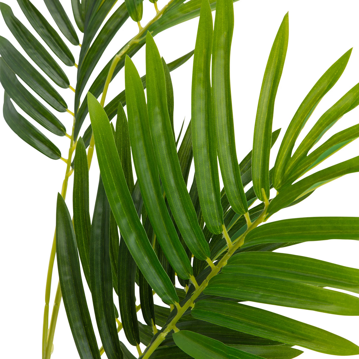 Green leaves of the artificial plant ARECA I by hjh OFFICE