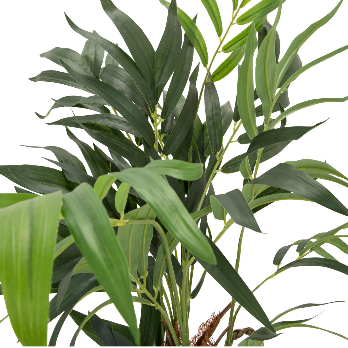 Green leaves of the artificial plant CHAMAEDOREA by hjh OFFICE