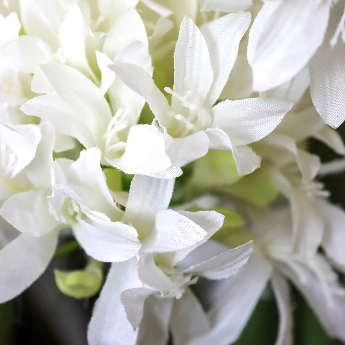White blossoms of the artificial plant AGAPANTHUS by hjh OFFICE