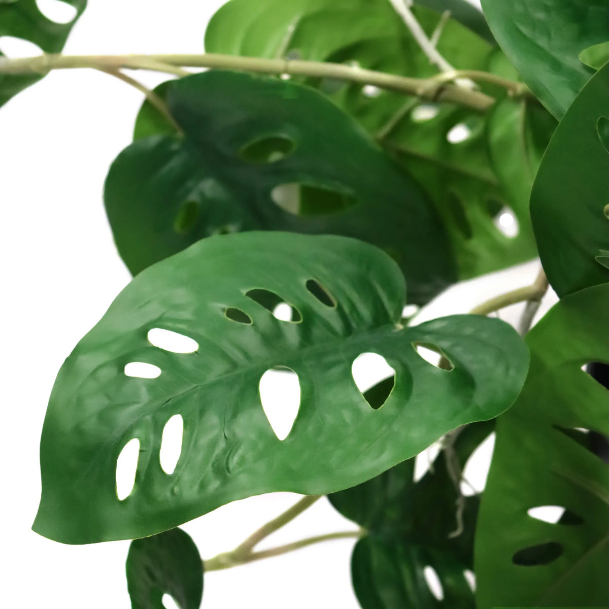 Green leaves of the Artificial plant MONSTERA CLIMB with characteristic holes by hjh OFFICE