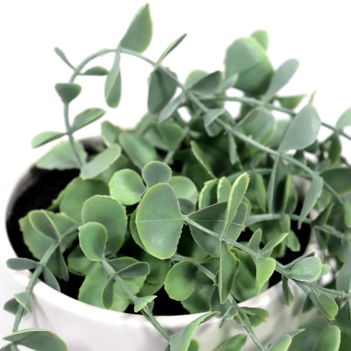 Green leaves of the EUCALYPTUS CLIMB artificial plant in a white pot by hjh OFFICE