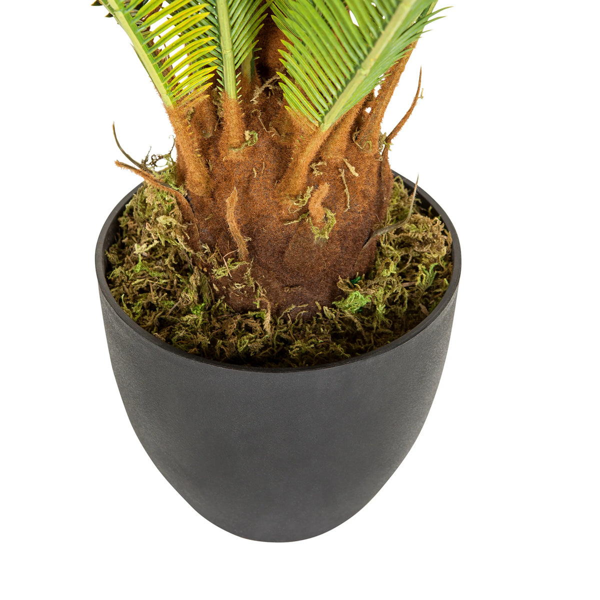 Trunk and black outer pot of the Artificial plant CYCAS by hjh OFFICE
