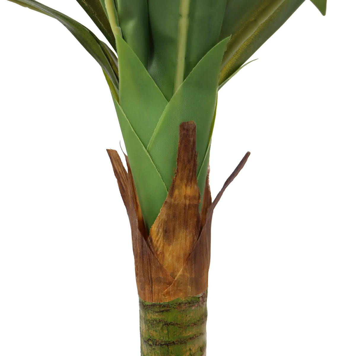 Stem base and green leaves of the Artificial plant DRACAENA I by hjh OFFICE
