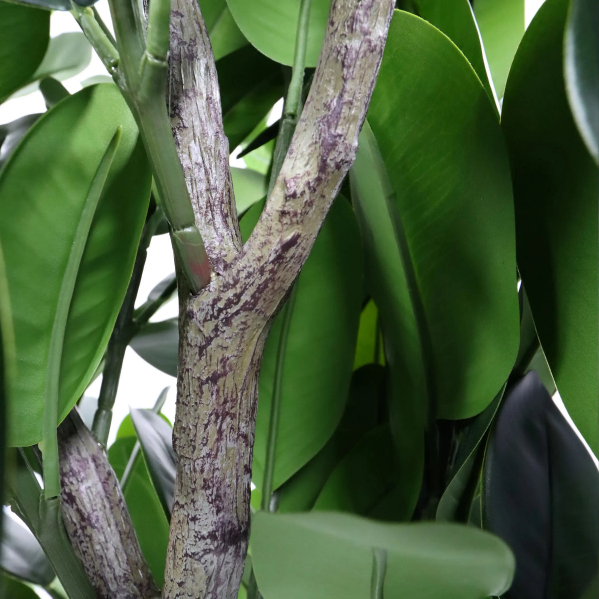 Stem and green leaves of the Artificial plant Garcinia by hjh OFFICE