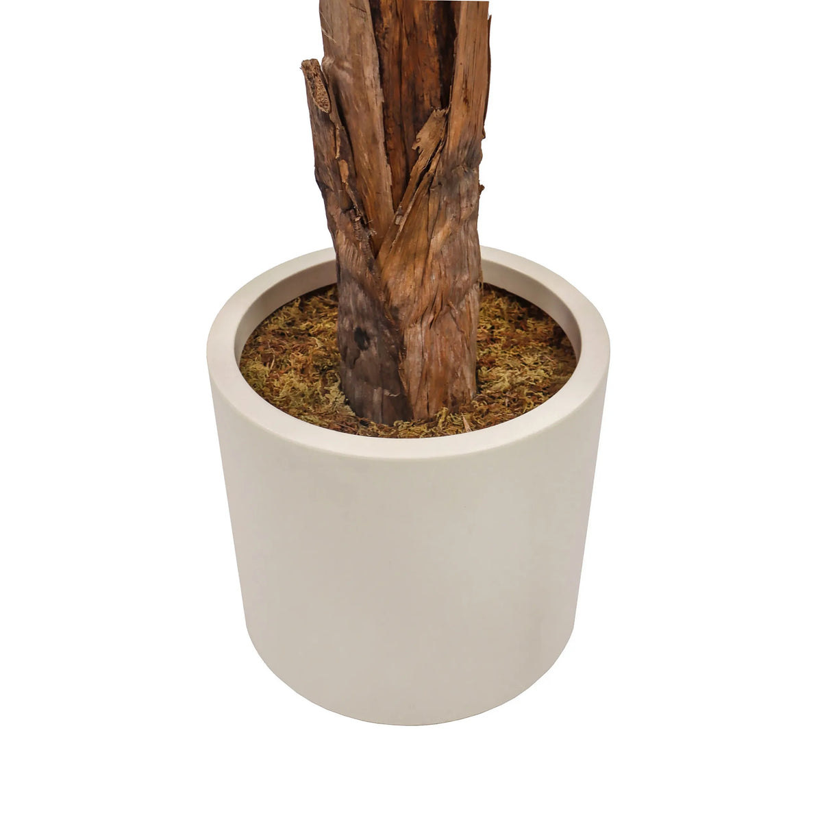 Trunk and cream-white plant pot of the Artificial plant BANANE I by hjh OFFICE