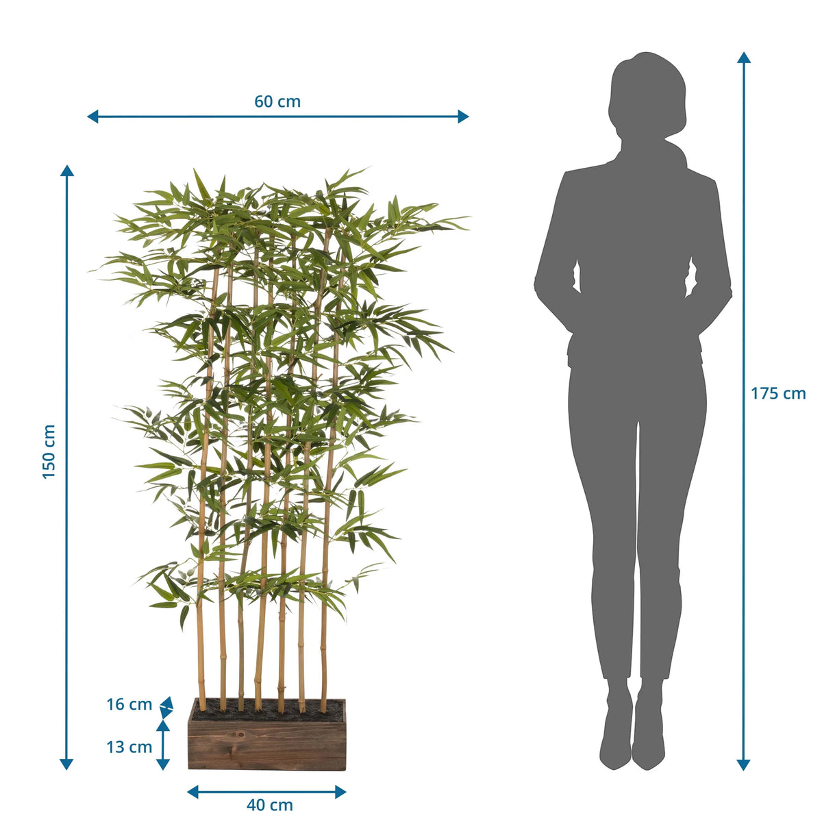 Dimensional view of the Artificial plant BAMBUS I with a height of 150 cm and a width of 60 cm by hjh OFFICE