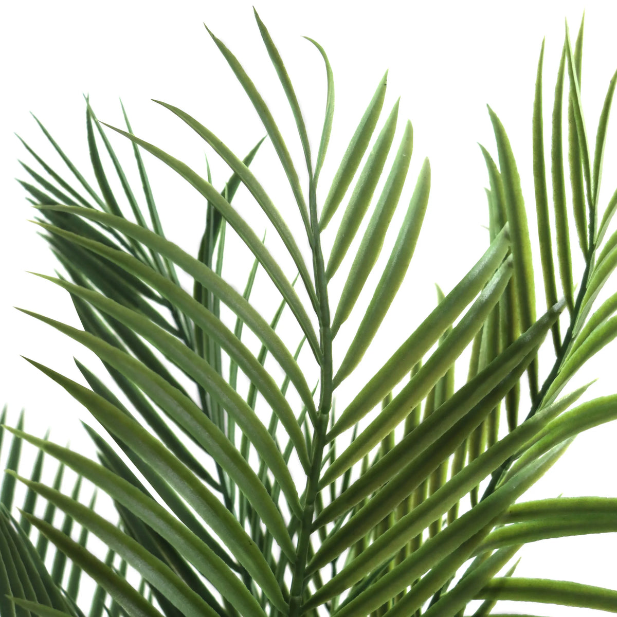 Green leaves of the artificial plant DRACAENA by hjh OFFICE