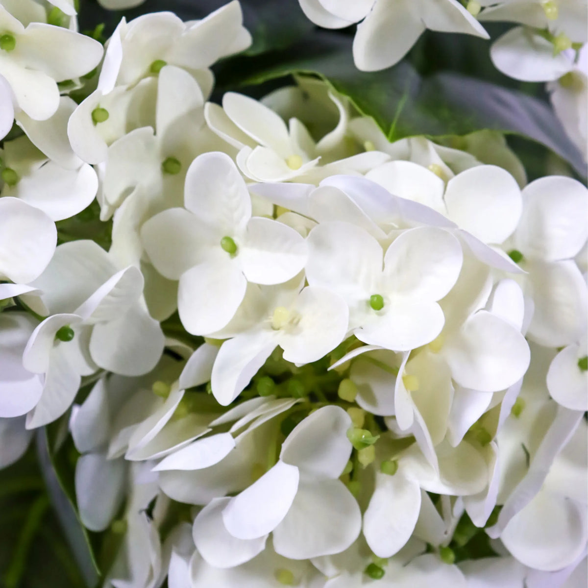 White blossoms of the Artificial plant HYDRANGEA with green accents by hjh OFFICE