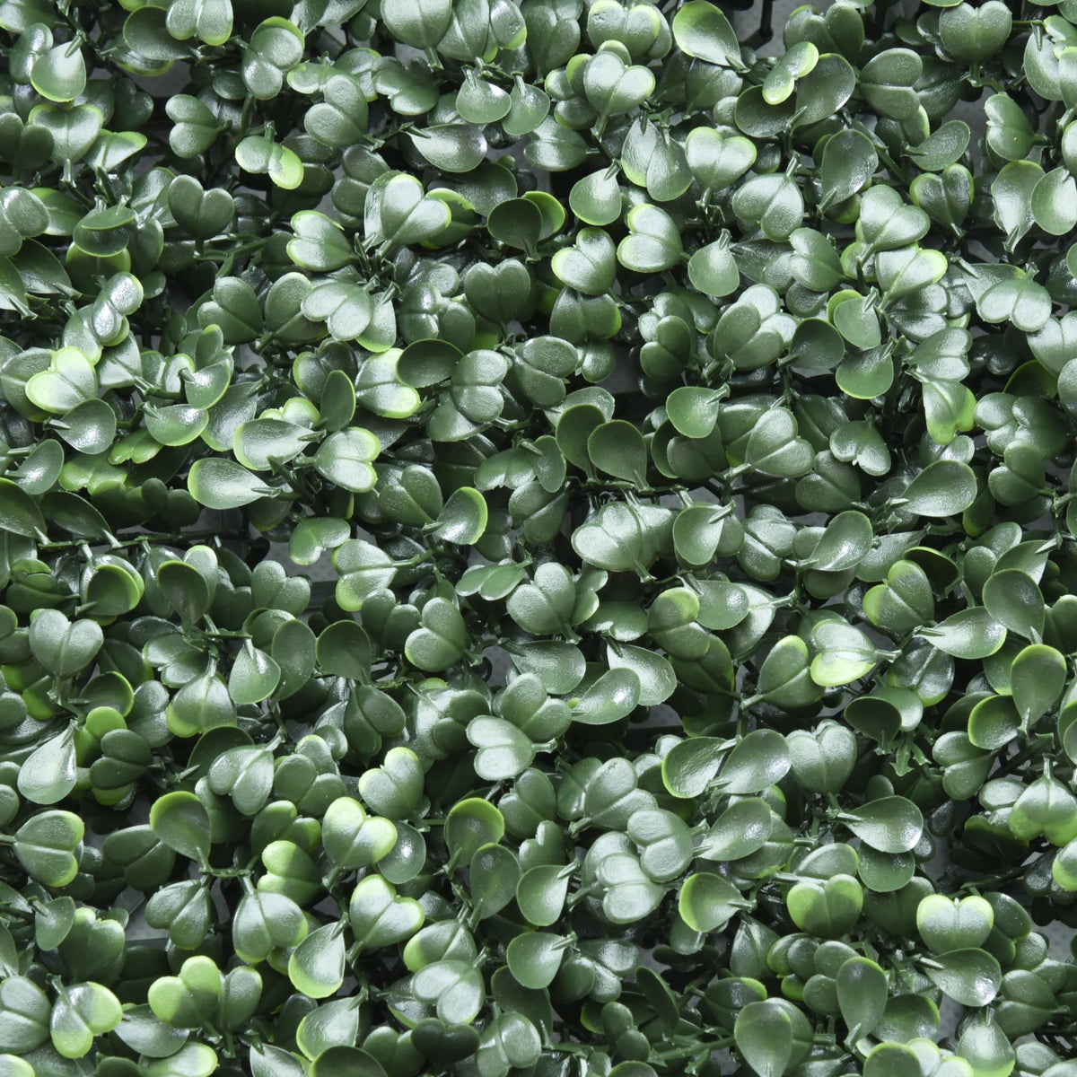 Green leaves of the Plant mat LEAFLUXE 1 by hjh LIVING