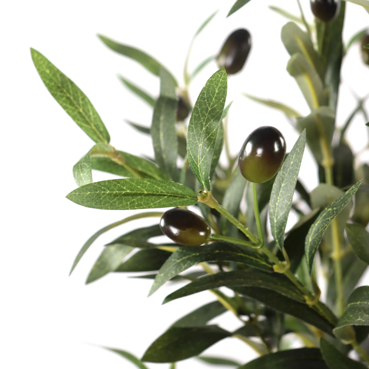 Green leaves and dark olives of the Artificial plant OLIVE I by hjh OFFICE