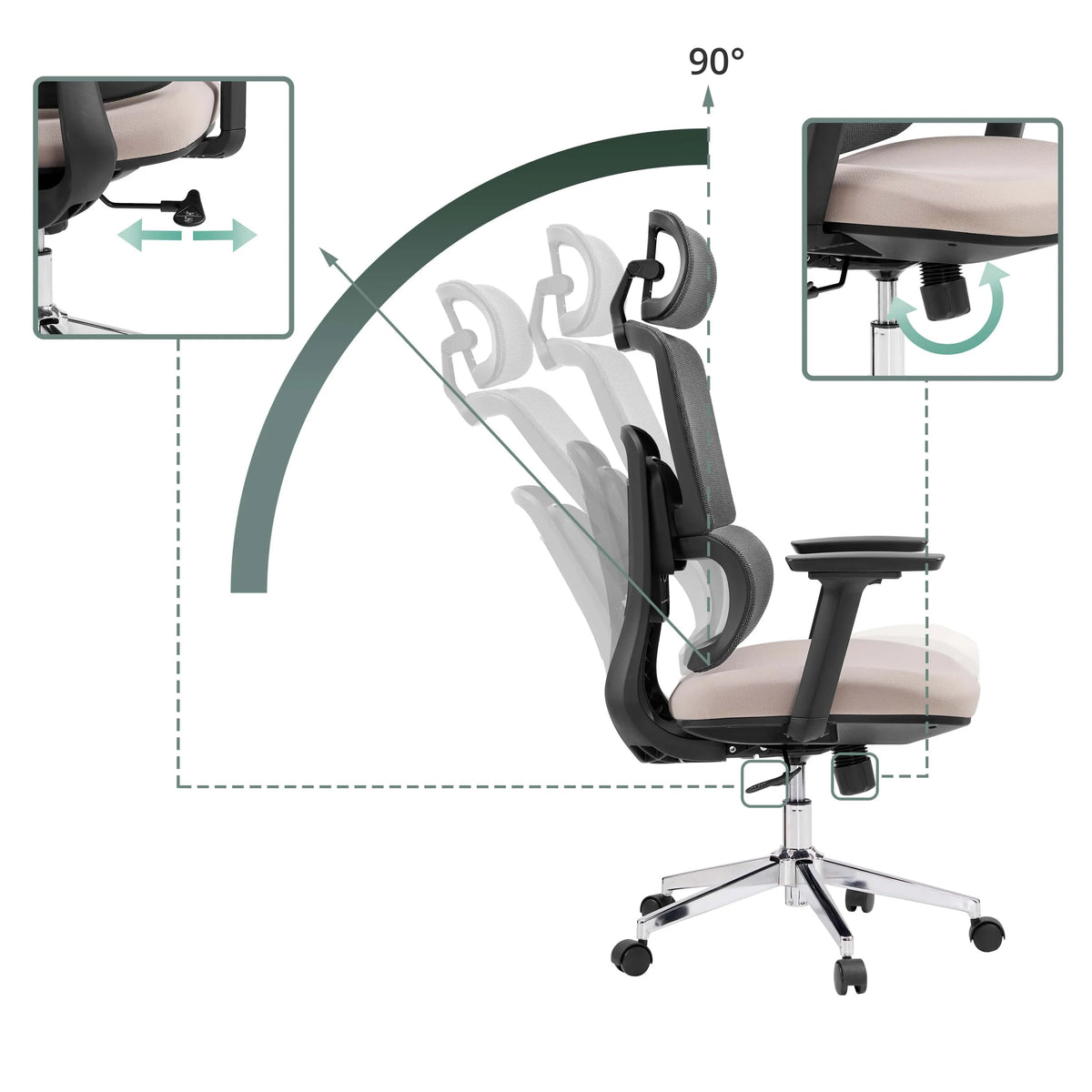 Adjustable backrest with 90 degree recline and height adjustment of the Professional Office Chair Ergomy Pro by hjh OFFICE