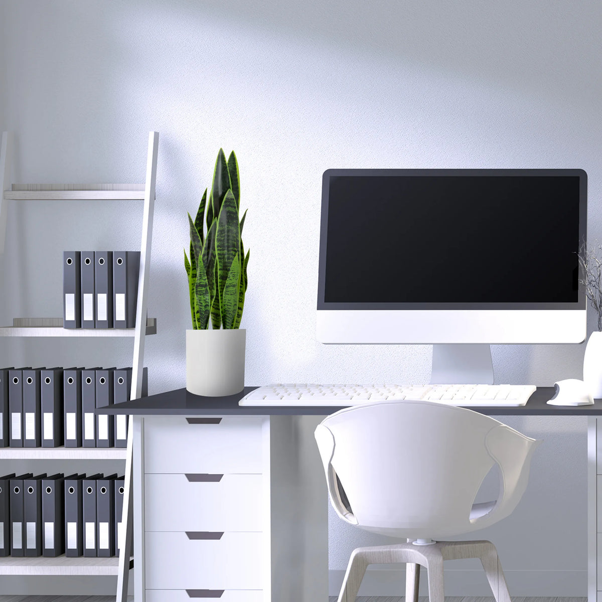 Green artificial plant SANSEVIERIA in a white pot on a desk by hjh OFFICE