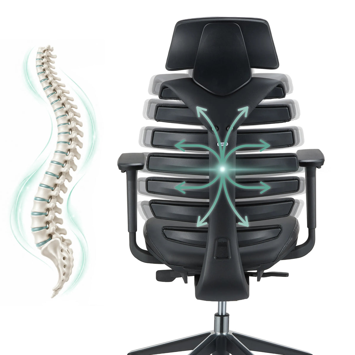Backrest of the ERGO LINE II PRO Professional Office Chair with a schematic representation of the spine by hjh OFFICE