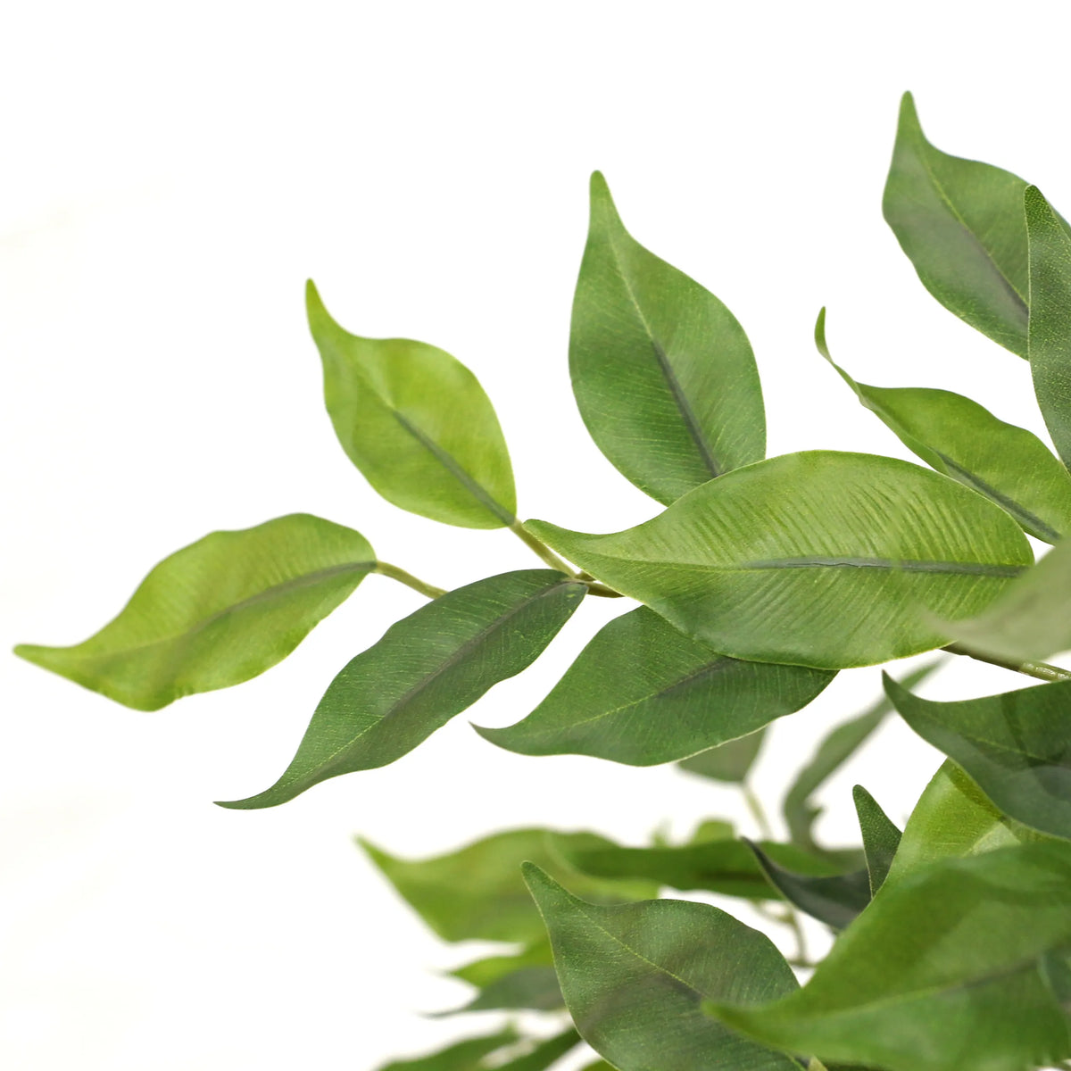 Green leaves of the Artificial plant FICUS I by hjh OFFICE