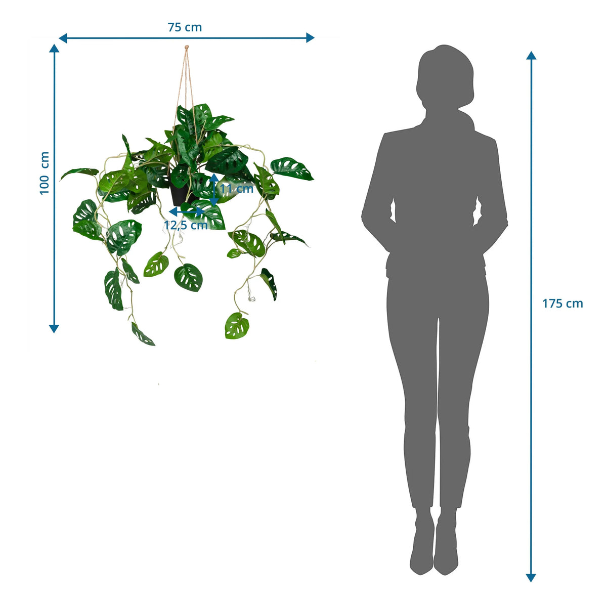 Dimensional drawing of the artificial plant MONSTERA CLIMB with a total height of 100 cm by hjh OFFICE