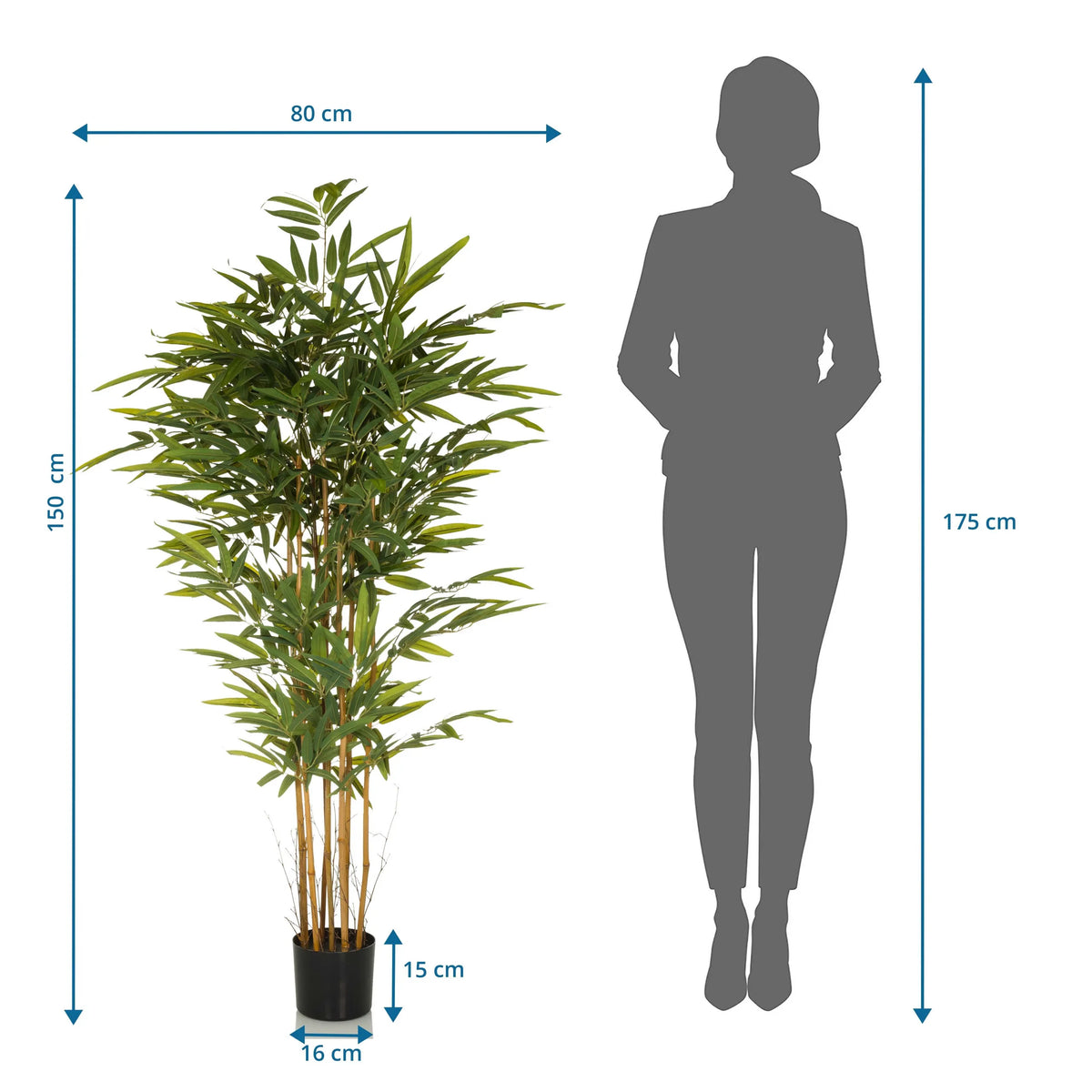 Dimensional drawing of the Artificial plant BAMBUS II with a height of 150 cm and width of 80 cm by hjh OFFICE