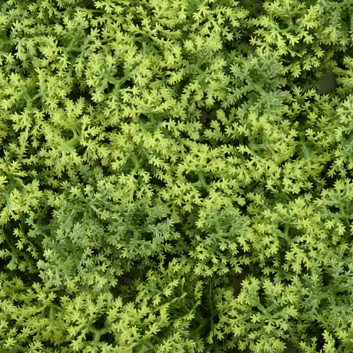 Green texture of the Plant mat LEAFLUXE 3 by hjh LIVING