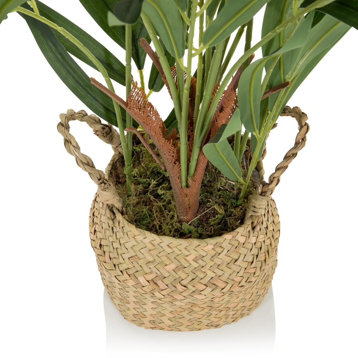 Woven basket with green leaves of the Artificial plant CHAMAEDOREA by hjh OFFICE