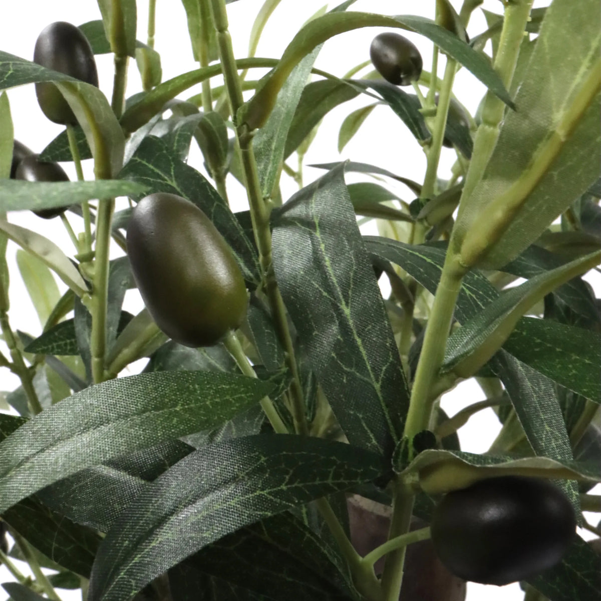 Green leaves and dark olives of the Artificial plant Olive S by hjh OFFICE