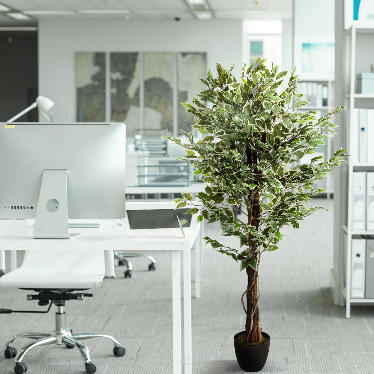 Green artificial plant FICUS in a black pot next to a desk by hjh OFFICE