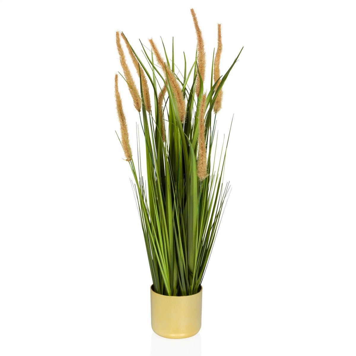 Artificial plant CORTADERIA I in beige and green with gold-coloured pot by hjh OFFICE