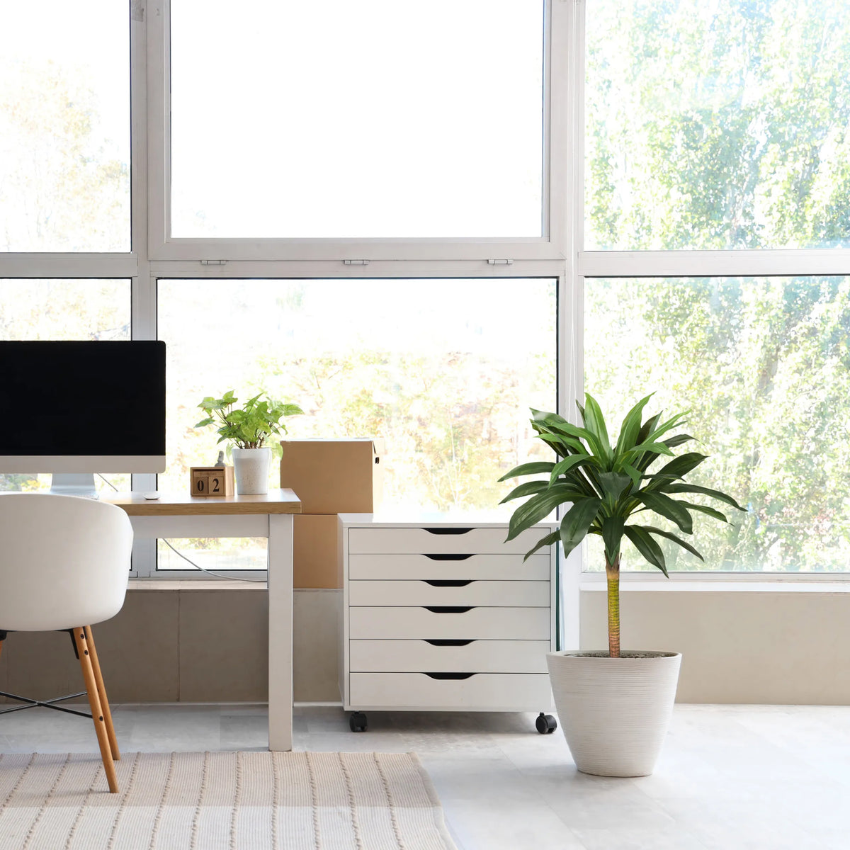 Artificial plant DRACAENA I in green with a white outer pot in a bright room by hjh OFFICE