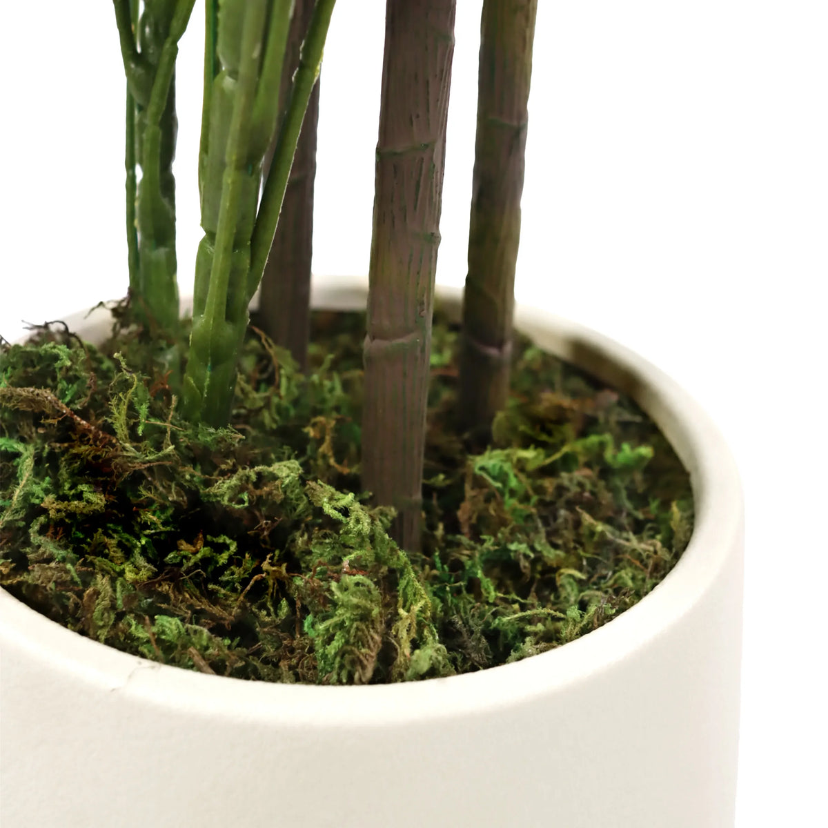 Stems and moss base of the Artificial plant Schefflera 2 in a white pot by hjh OFFICE