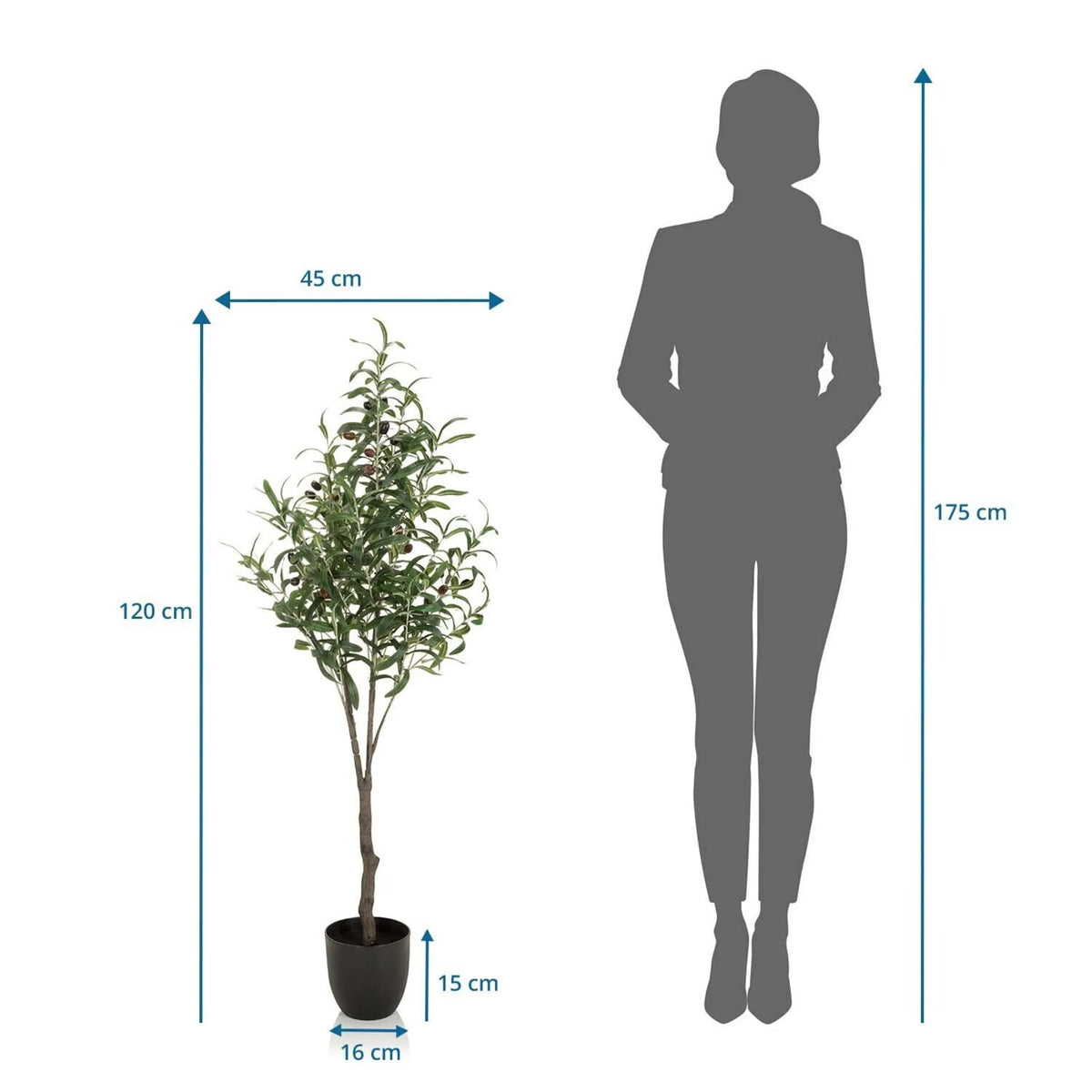 Dimensional drawing of the Artificial plant OLIVE with a height of 120 cm by hjh OFFICE