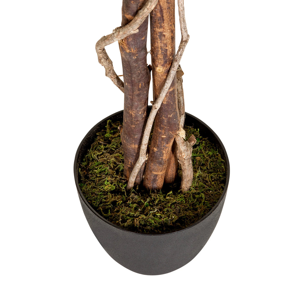 Trunks and pot with green moss of the Artificial plant FICUS by hjh OFFICE