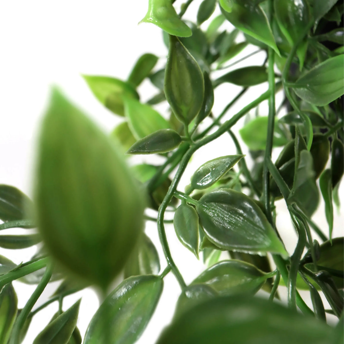 Green leaves of the Artificial plant Epipremnum Climb by hjh OFFICE