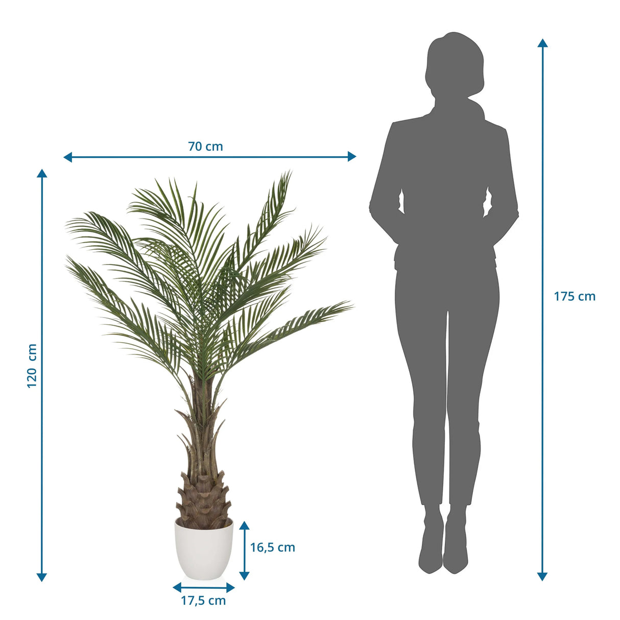 Dimensional drawing of the Artificial plant DRACAENA with a height of 120 cm and a width of 70 cm by hjh OFFICE