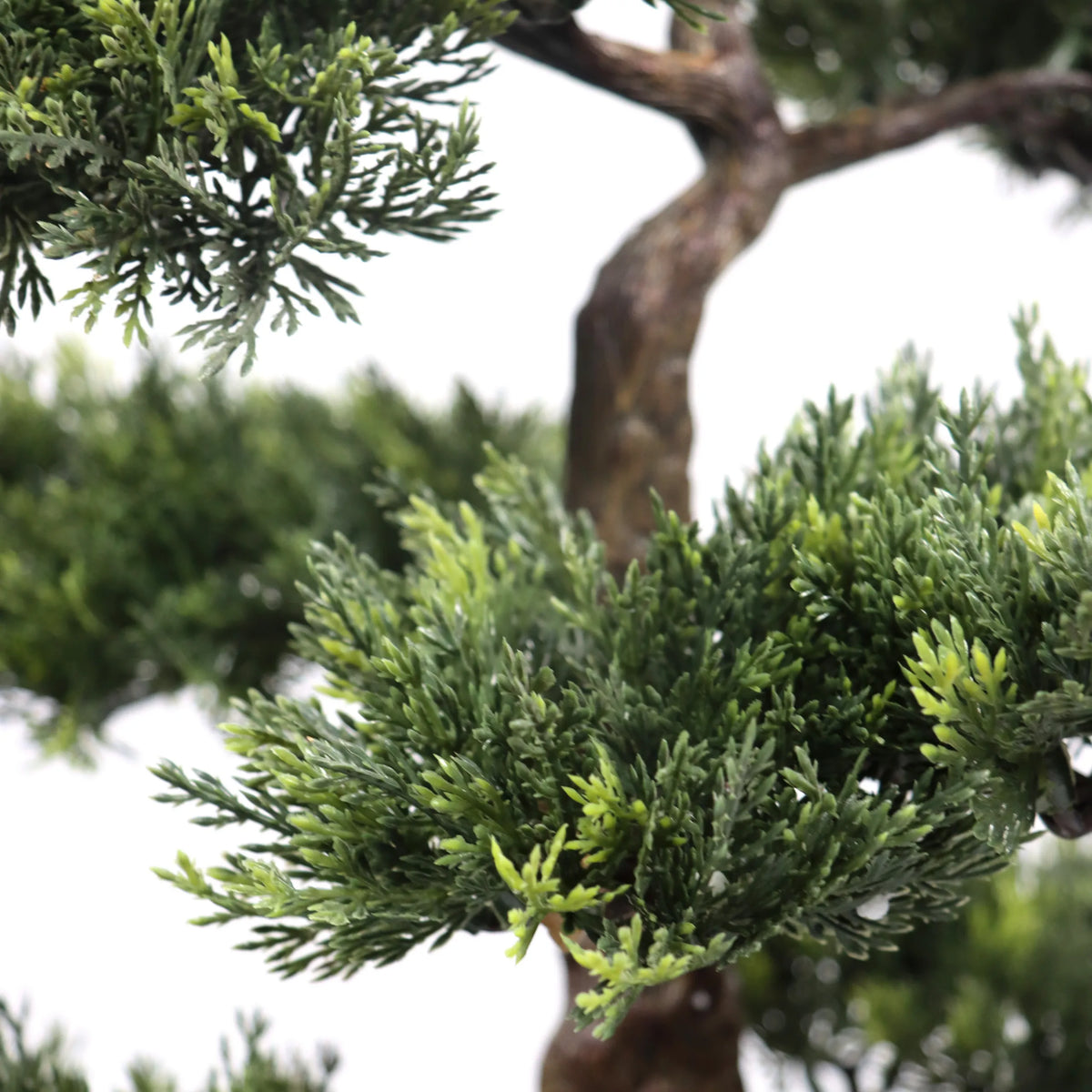 Green needle branches and brown trunk of the artificial plant BONSAI by hjh OFFICE