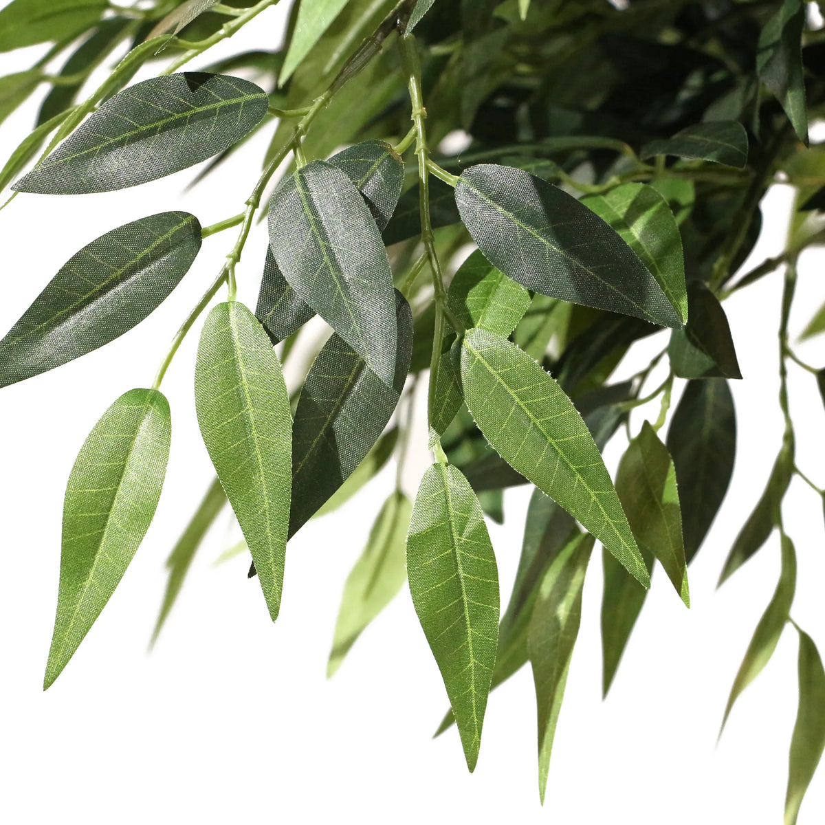 Green leaves of the artificial plant ACACIA by hjh OFFICE
