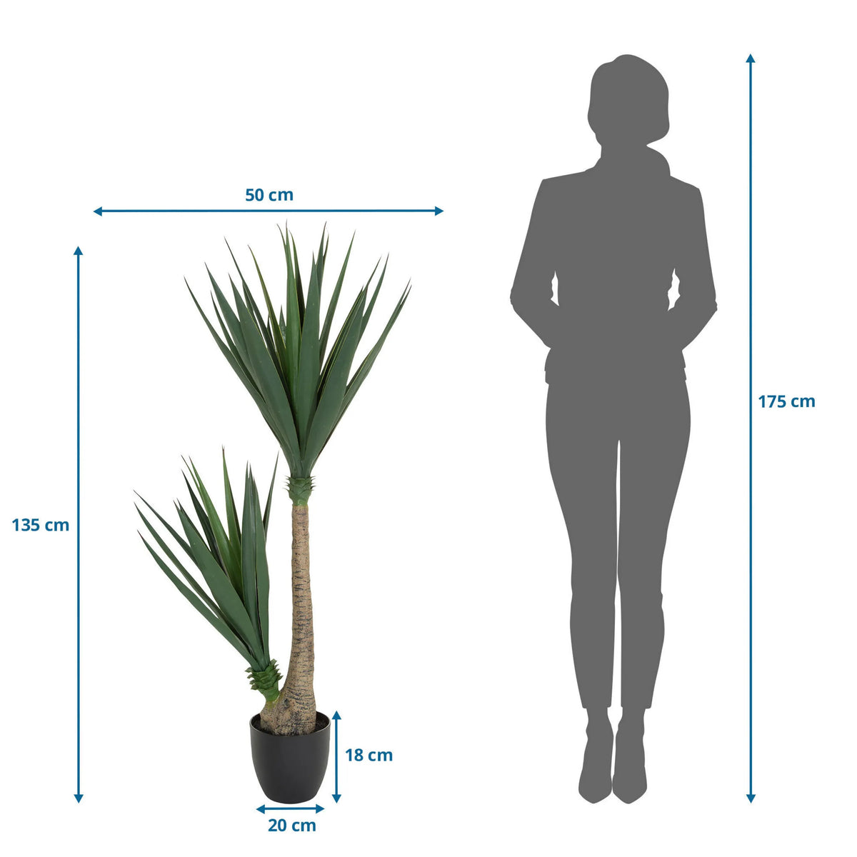 Dimensional drawing of the Artificial plant YUCCA with a height of 135 cm and width of 50 cm by hjh OFFICE