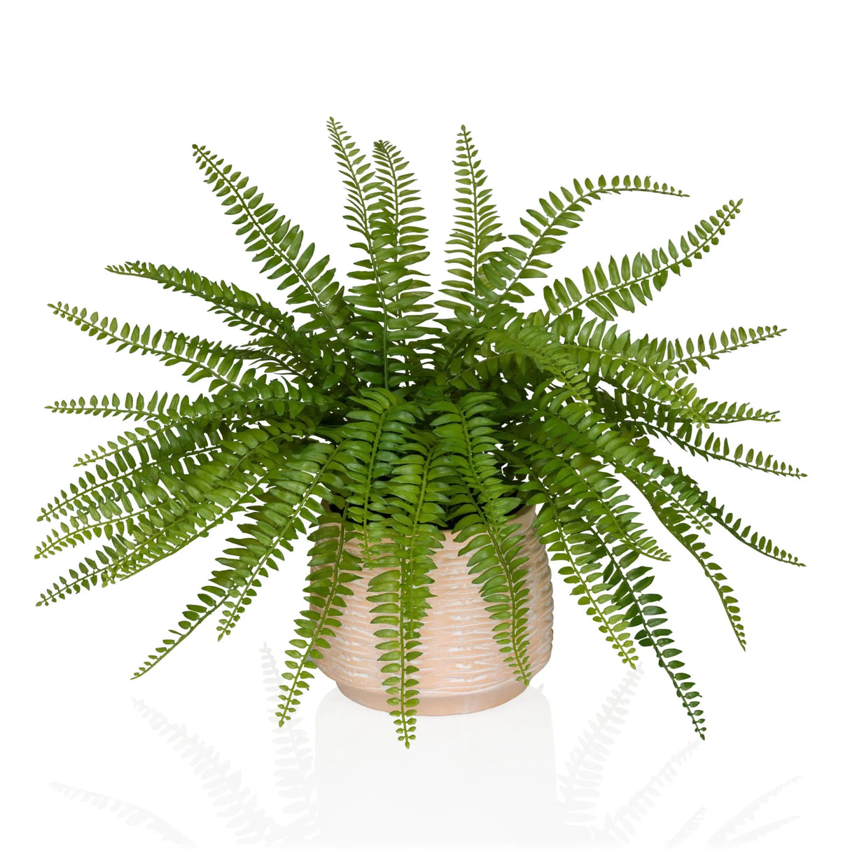 Green Artificial plant Proliferum with fern-like leaves in a light beige pot by hjh OFFICE