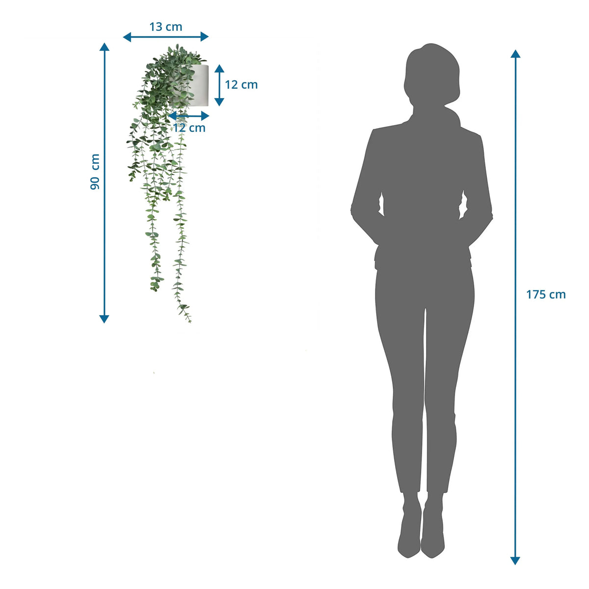 Dimensional drawing of the Artificial plant EUCALYPTUS CLIMB with a total height of 90 cm by hjh OFFICE
