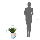 Dimensional drawing of the Artificial plant Agave with 45 cm height and 40 cm width by hjh OFFICE