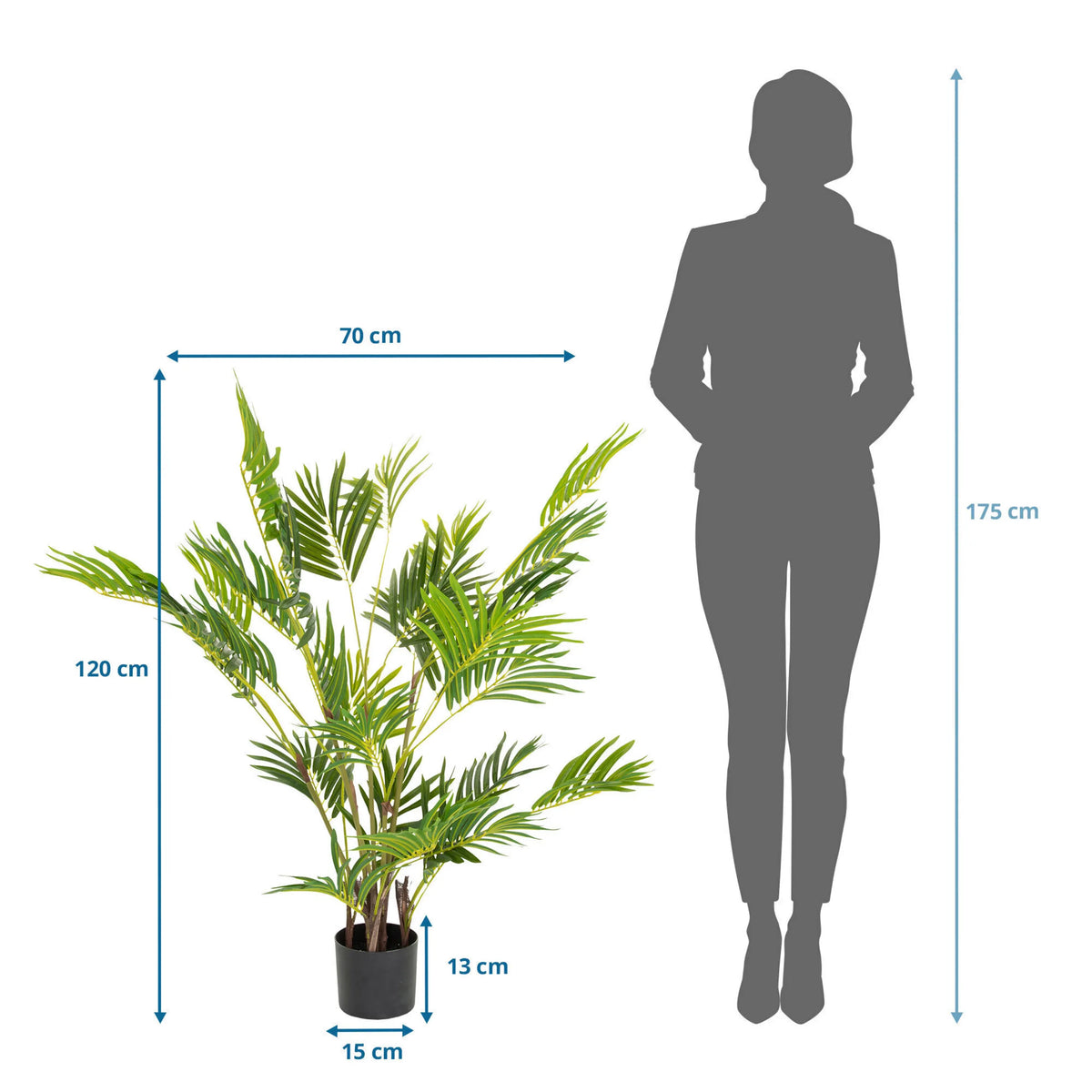 Dimensional drawing of the Artificial plant ARECA I with a height of 120 cm and width of 70 cm by hjh OFFICE