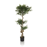 Green Artificial plant ACACIA with twisted stem in a black pot by hjh OFFICE – 360-degree view (side profile 90°)
