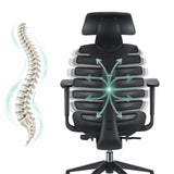 Backrest of the ERGO LINE II PRO Professional Office Chair showing a spine and arrow graphics by hjh OFFICE