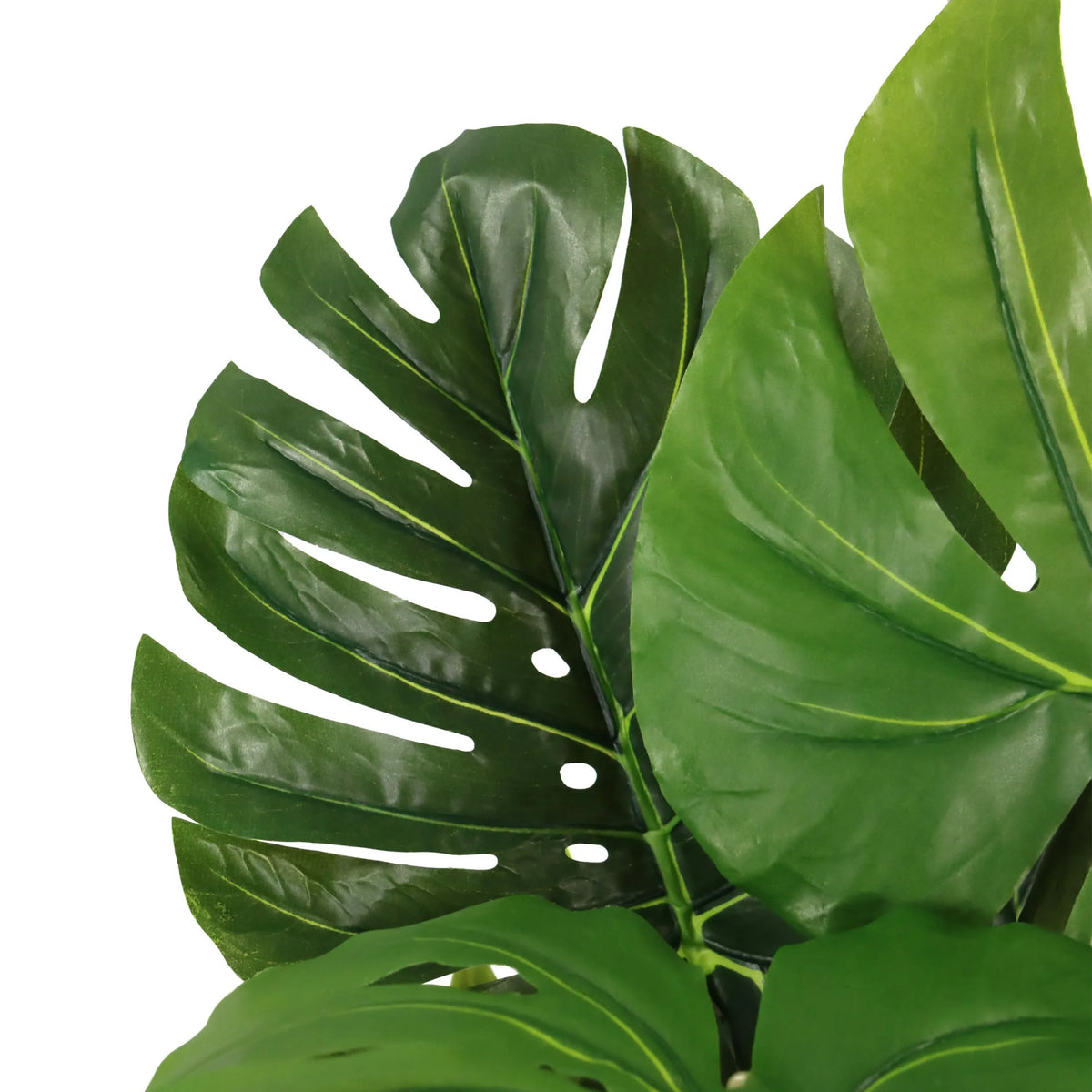 Green leaves of the Artificial plant MONSTERA I by hjh OFFICE